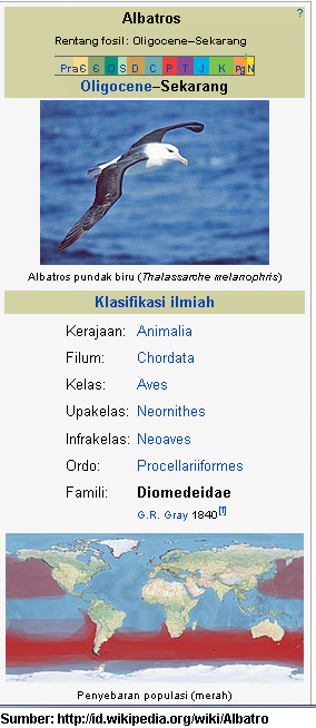 Mengenal Albatros