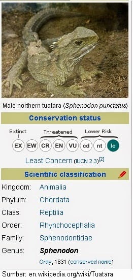 Tuatara, Si Fosil Hidup