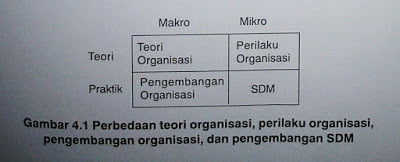 Pengertian Pengorganisasian dan Organisasi